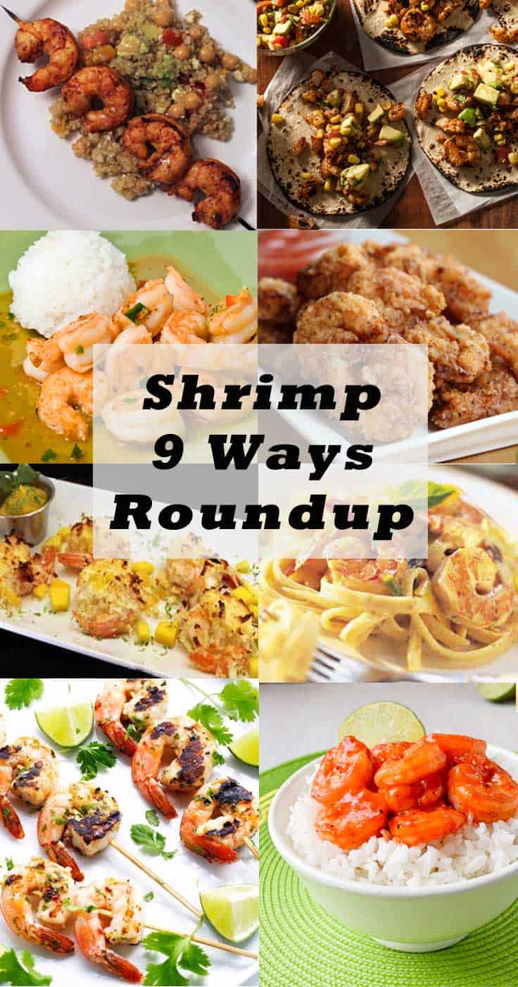 Shrimp 9 Ways Roundup - 2 Cookin' Mamas