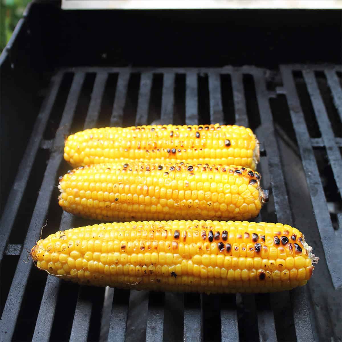 Corn on the cob on grill.