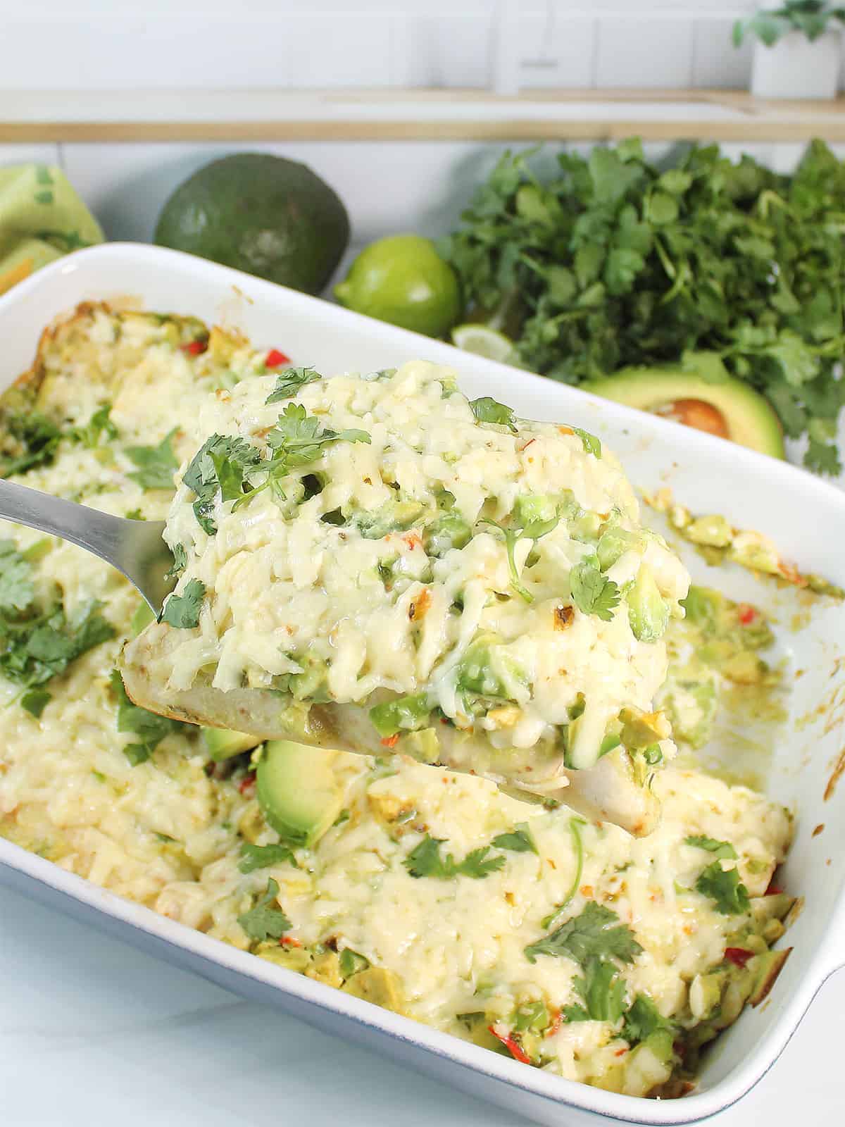 Dishing out chicken enchiladas with avocado cream sauce.