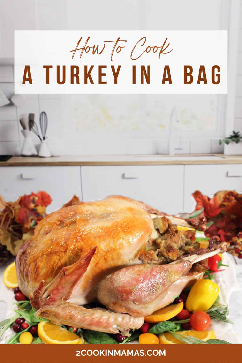How to Cook a Turkey in a Bag
