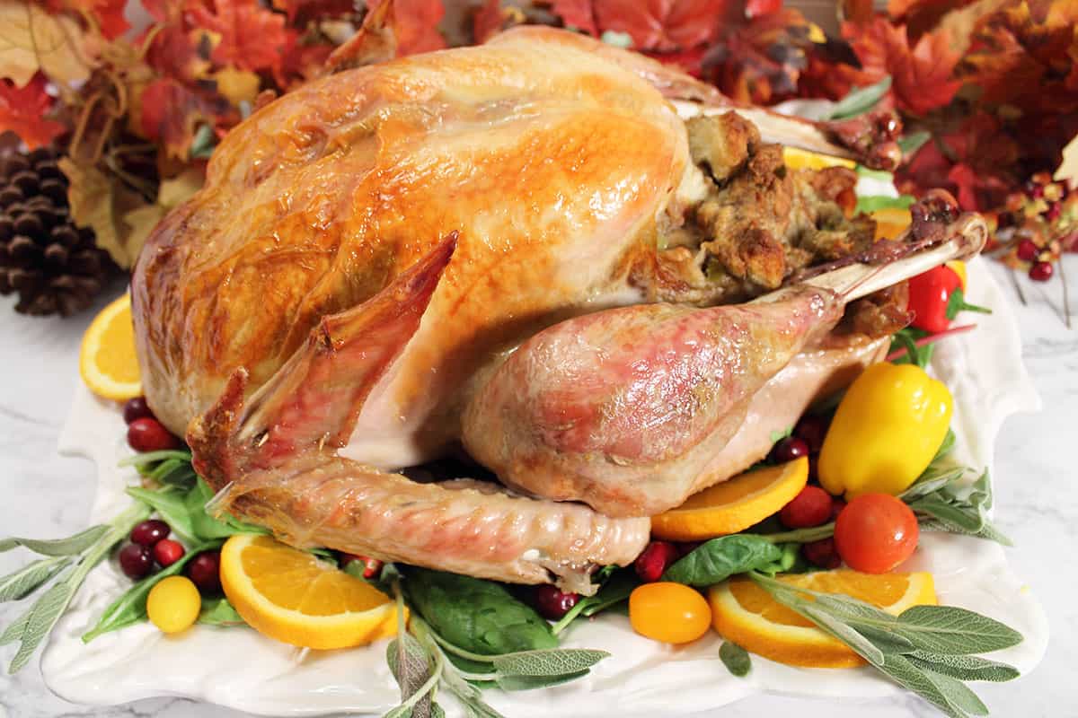 Closeup of roasted turkey on platter.