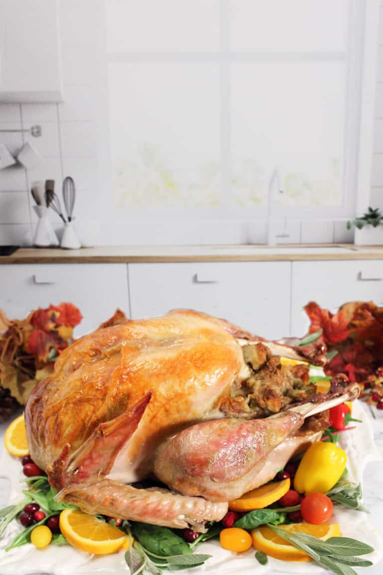 How to Cook a Turkey in a Bag 2 Cookin Mamas