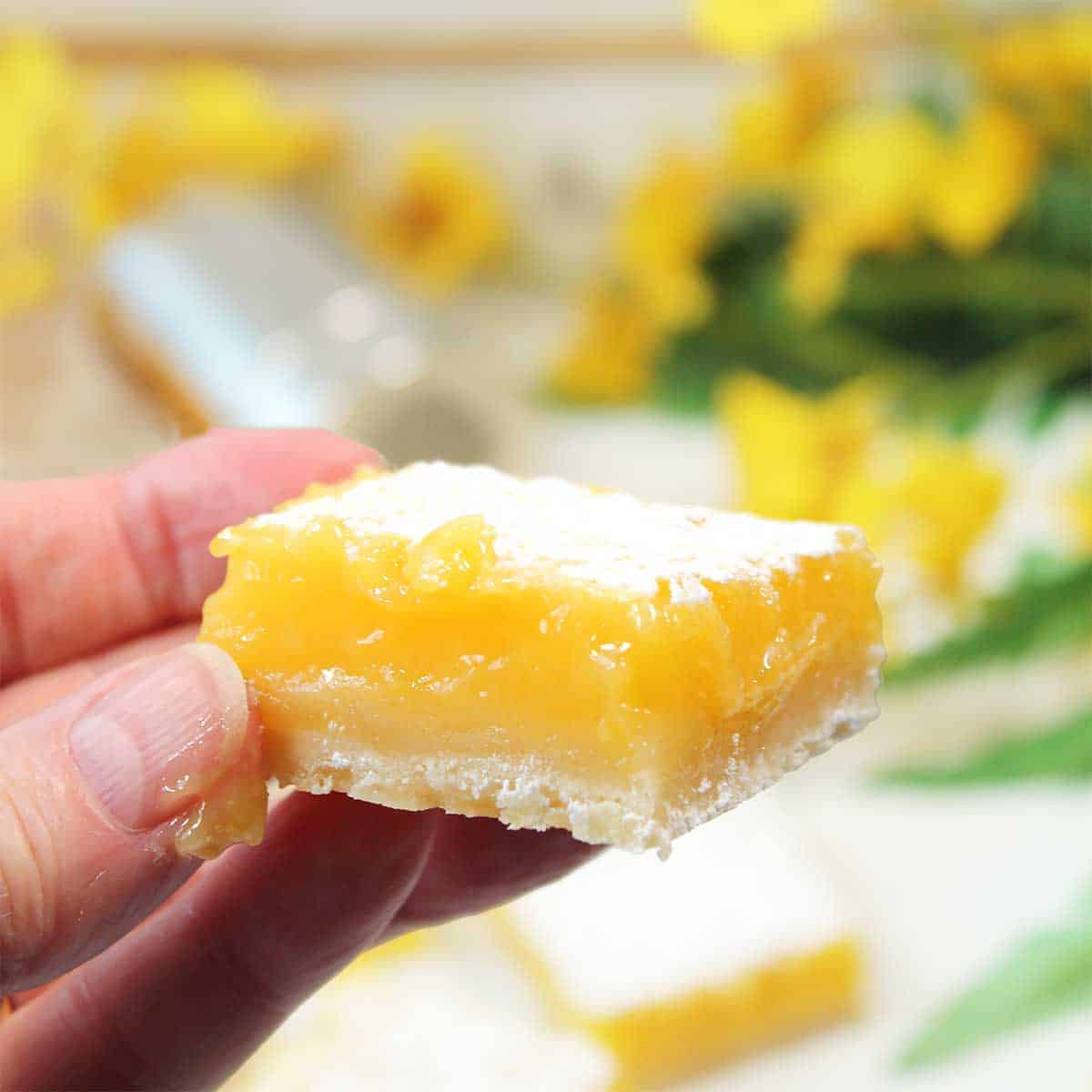 Holding lemon custard bar.