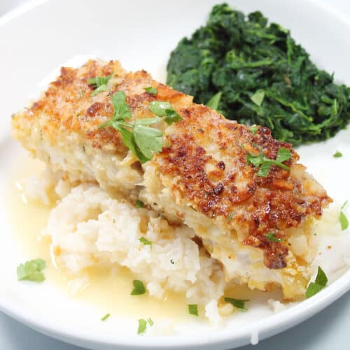 Closeup of plated macadamia nut crusted grouper over rice.