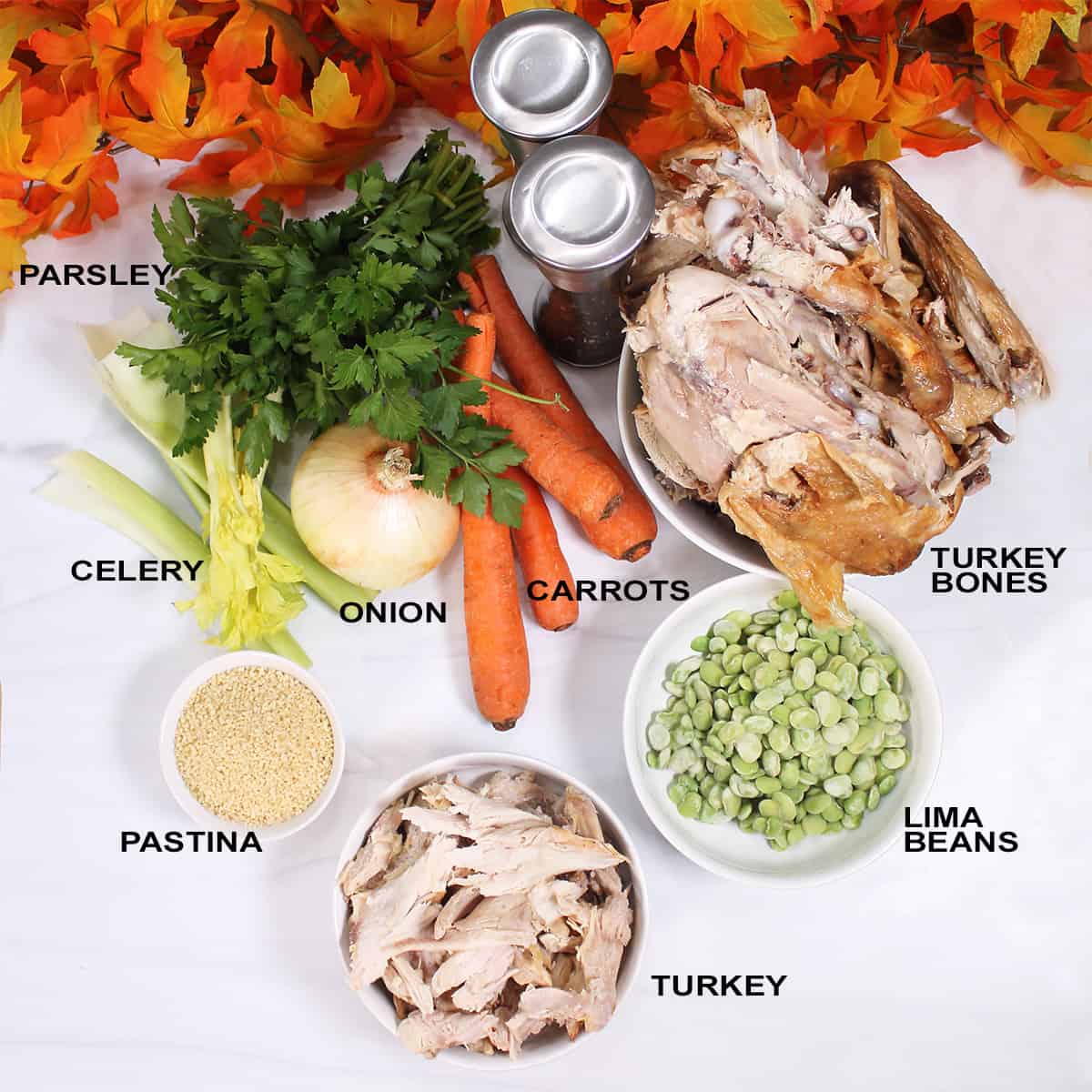 Turkey Soup ingredients on white table.