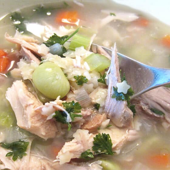 turkey soup closeup with spoon | 2 Cookin Mamas
