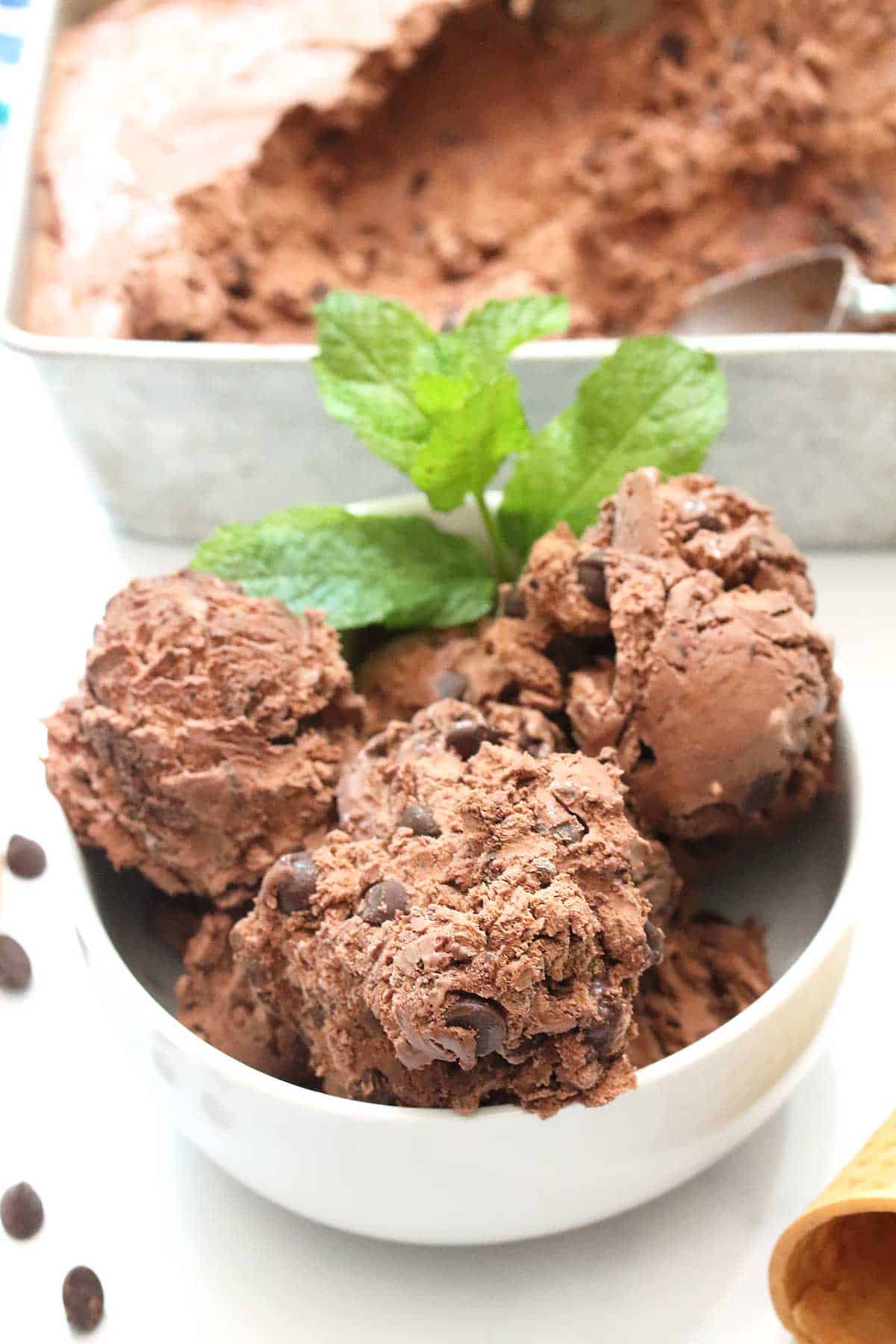 Bowl of homemade chocolate ice cream with mint sprig and pan of ice cream in back.