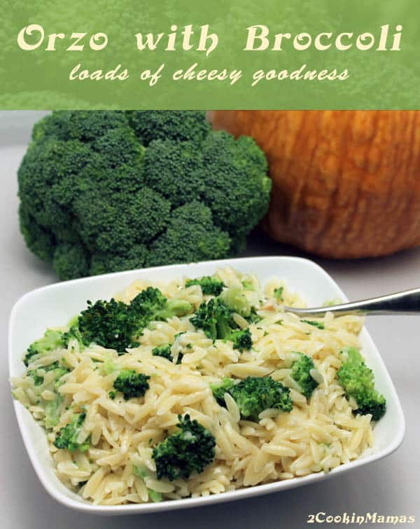 Orzo with Broccoli main | 2CookinMamas