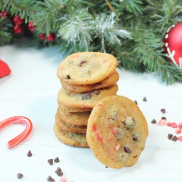 Stacked cookies with one cookie leaning on them.