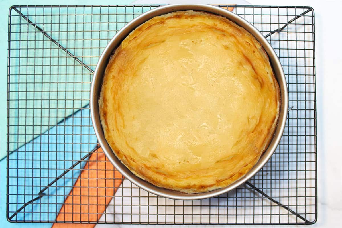 Baked carrot cheessecake.