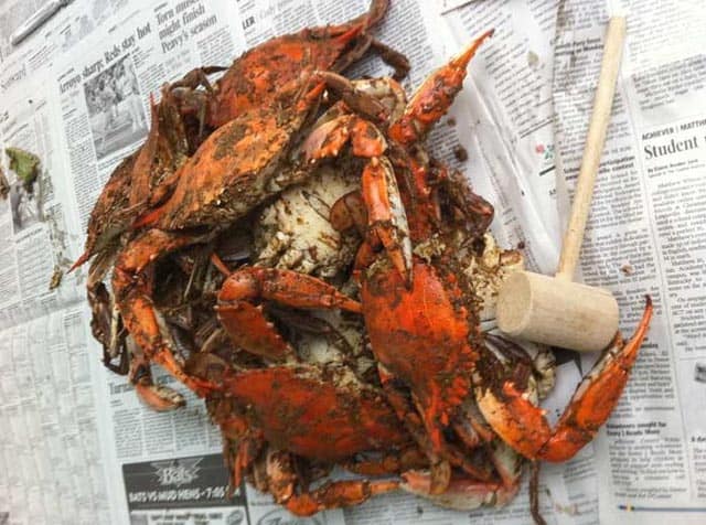 Blue Crabs on newspaper