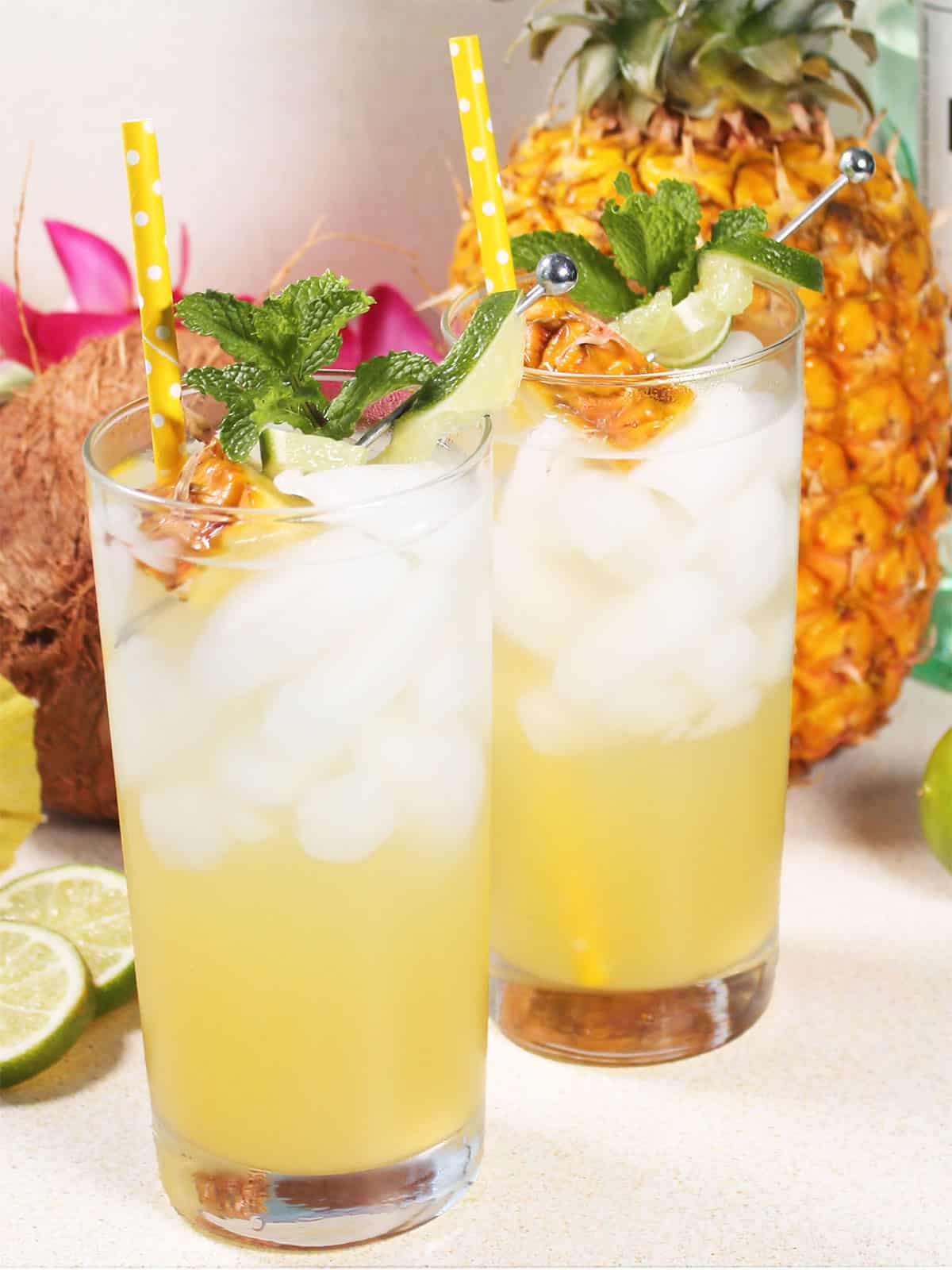 Two Pineapple Coconut Mojito cocktails with pineapple and mint garnish.