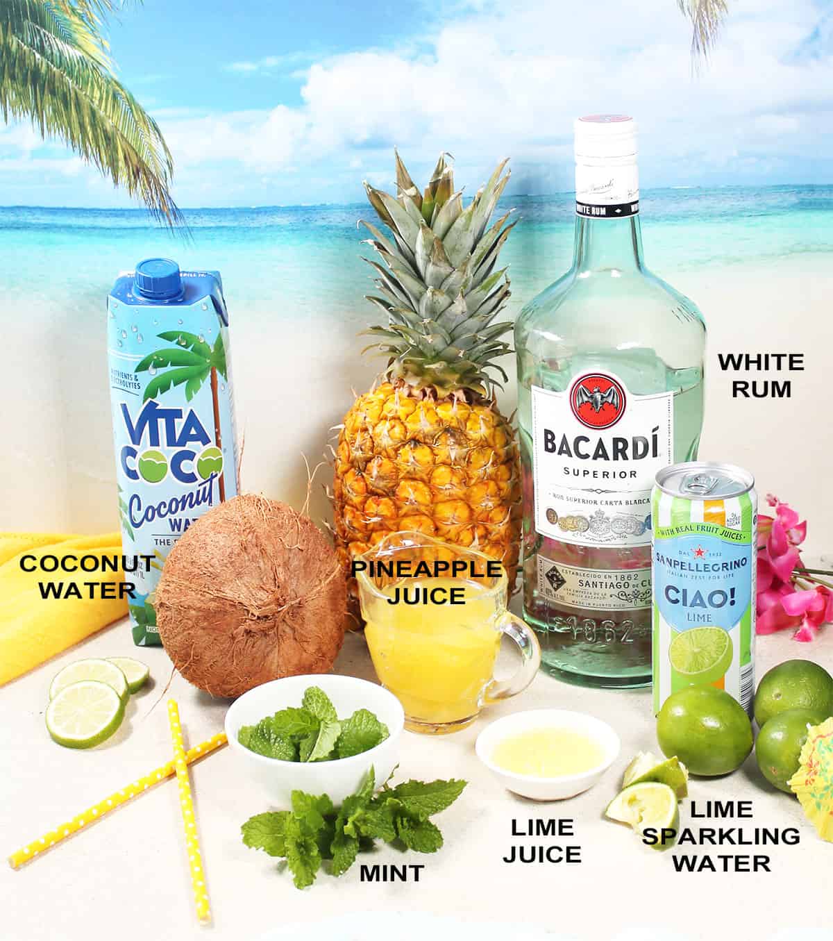 Ingredients for a pineapple coconut mojito.