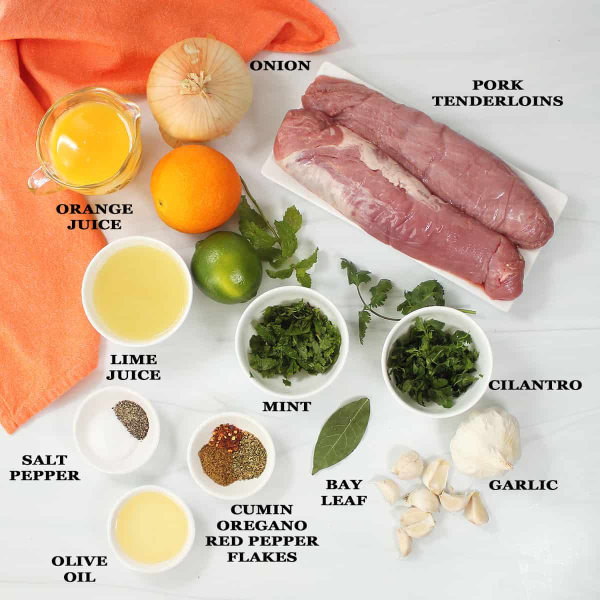 Ingredients for Cuban Pork recipe.