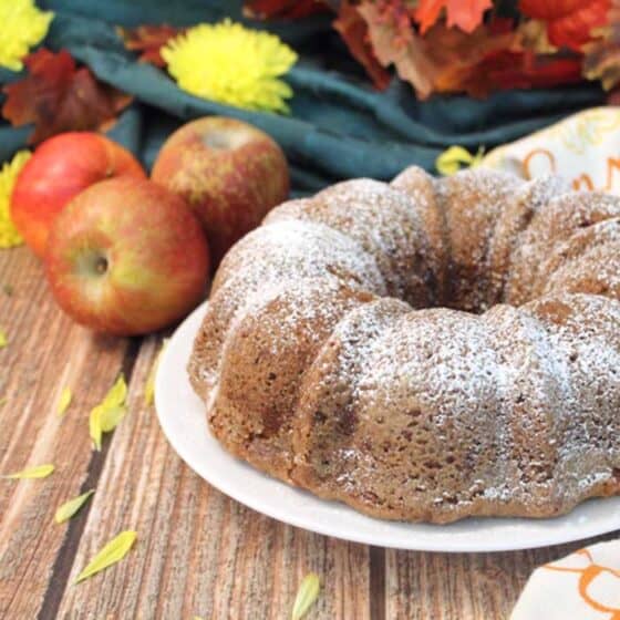 One Bowl Apple Cake square | 2 Cookin Mamas