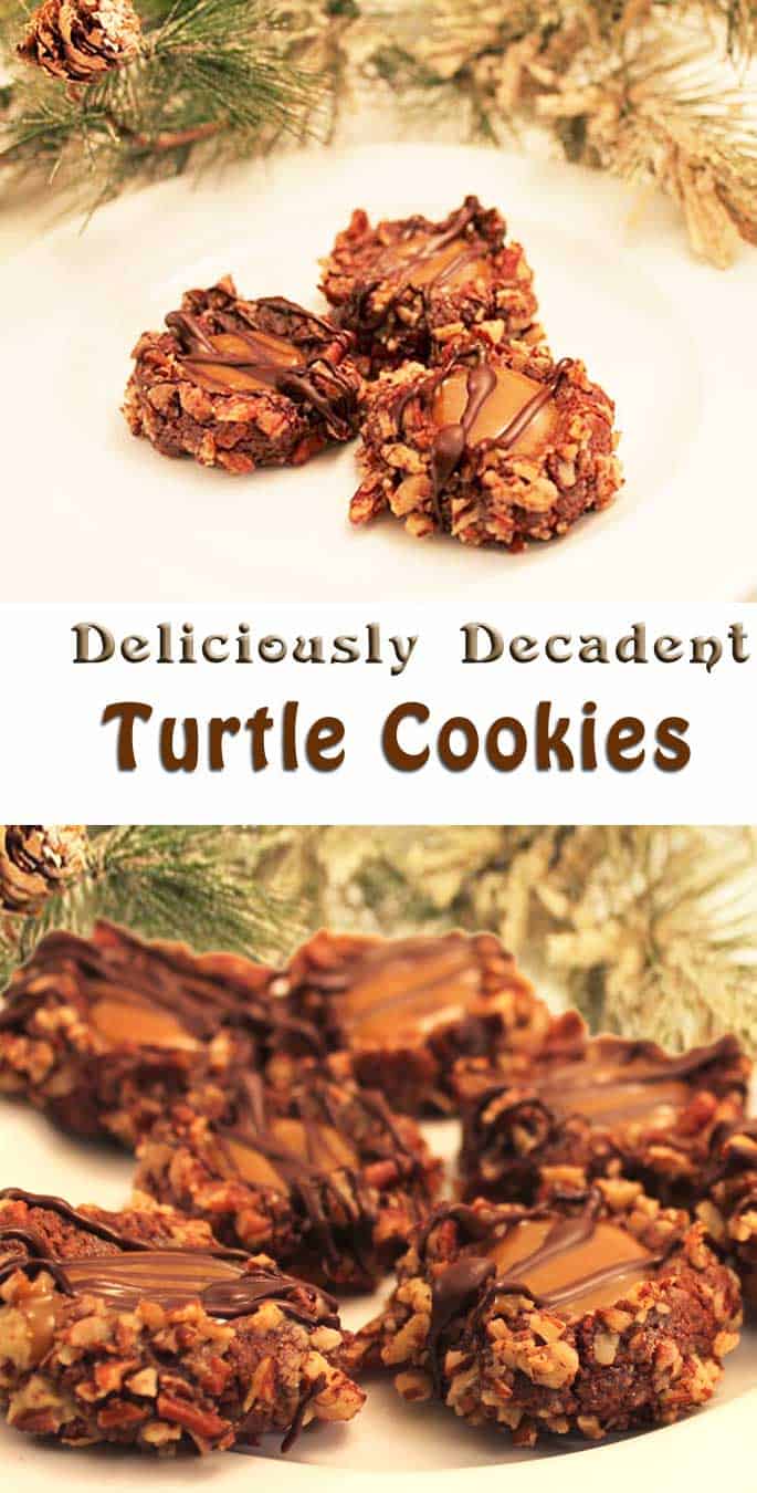 Our Turtle Cookies are like candy in cookie form. Soft, chewy cookies with a center of caramel & a drizzle of chocolate.
