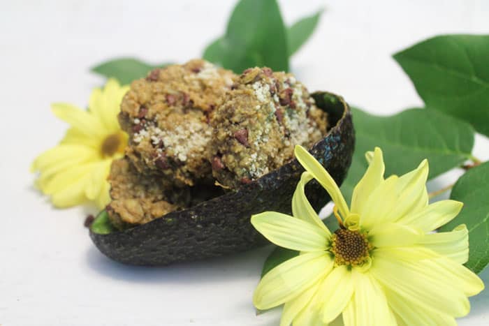 Avocado Oatmeal Chocolate Chip Cookie and flowers