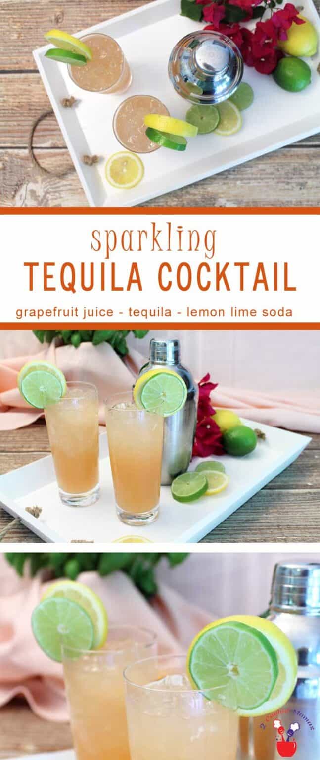 Sparkling Tequila Cocktail A Refreshing Cooler 2 Cookin Mamas