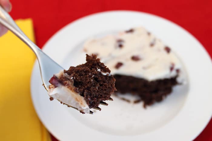 Black Cherry Brownies bite closeup | 2 Cookin Mamas