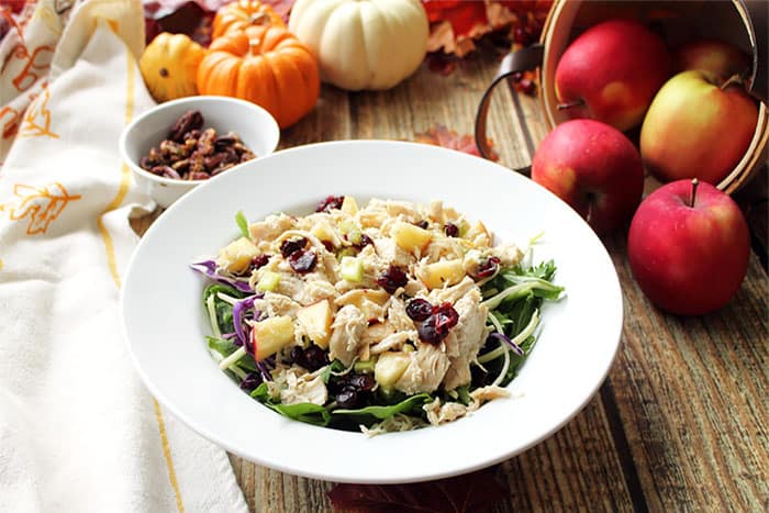 Harvest Chicken Salad in white bowl with apples and gourds in background.