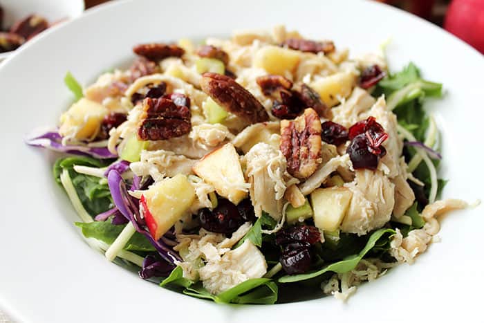 Fall Salad over greens in white bowl closeup.