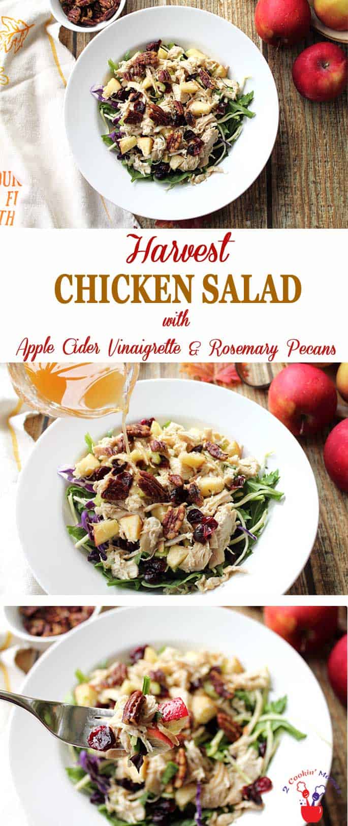 Harvest Chicken Salad screams fall! Chicken cooked in apple cider, tossed with apples, cranberries & pecans then drizzled with apple cider vinaigrette. #fallsalad #salad #lunch #recipe #applecider #chicken
