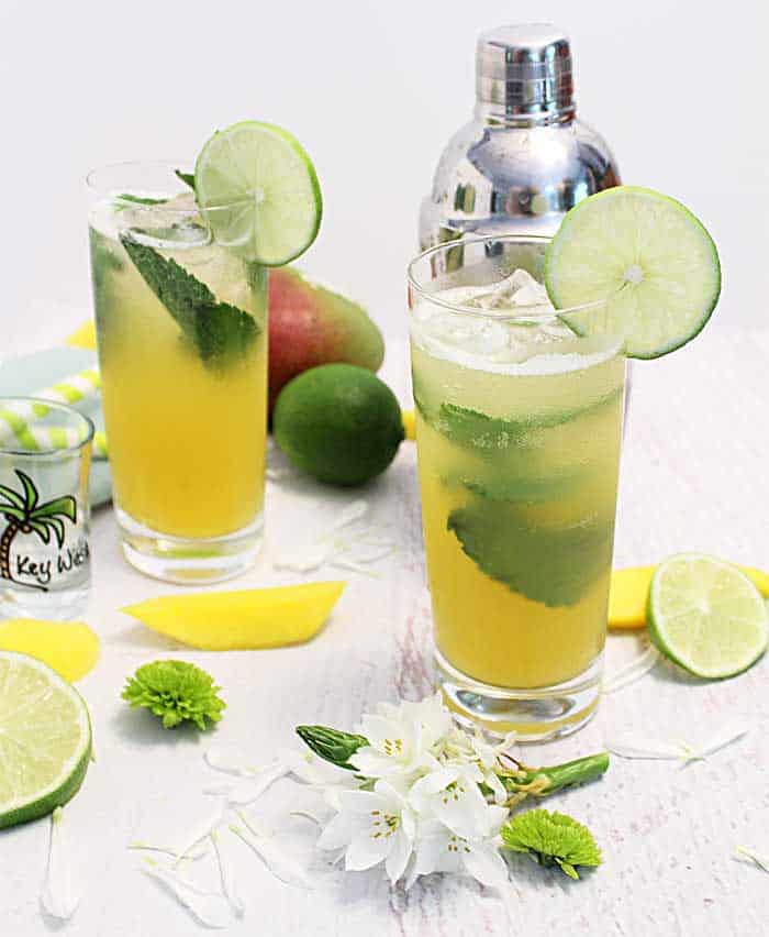 2 tall mojitos on ice with lime garnish and shaker in the background