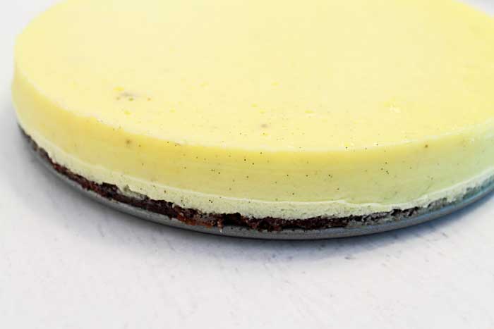 Neapolitan Cheesecake vanilla bean cheesecake layer | 2 Cookin Mamas