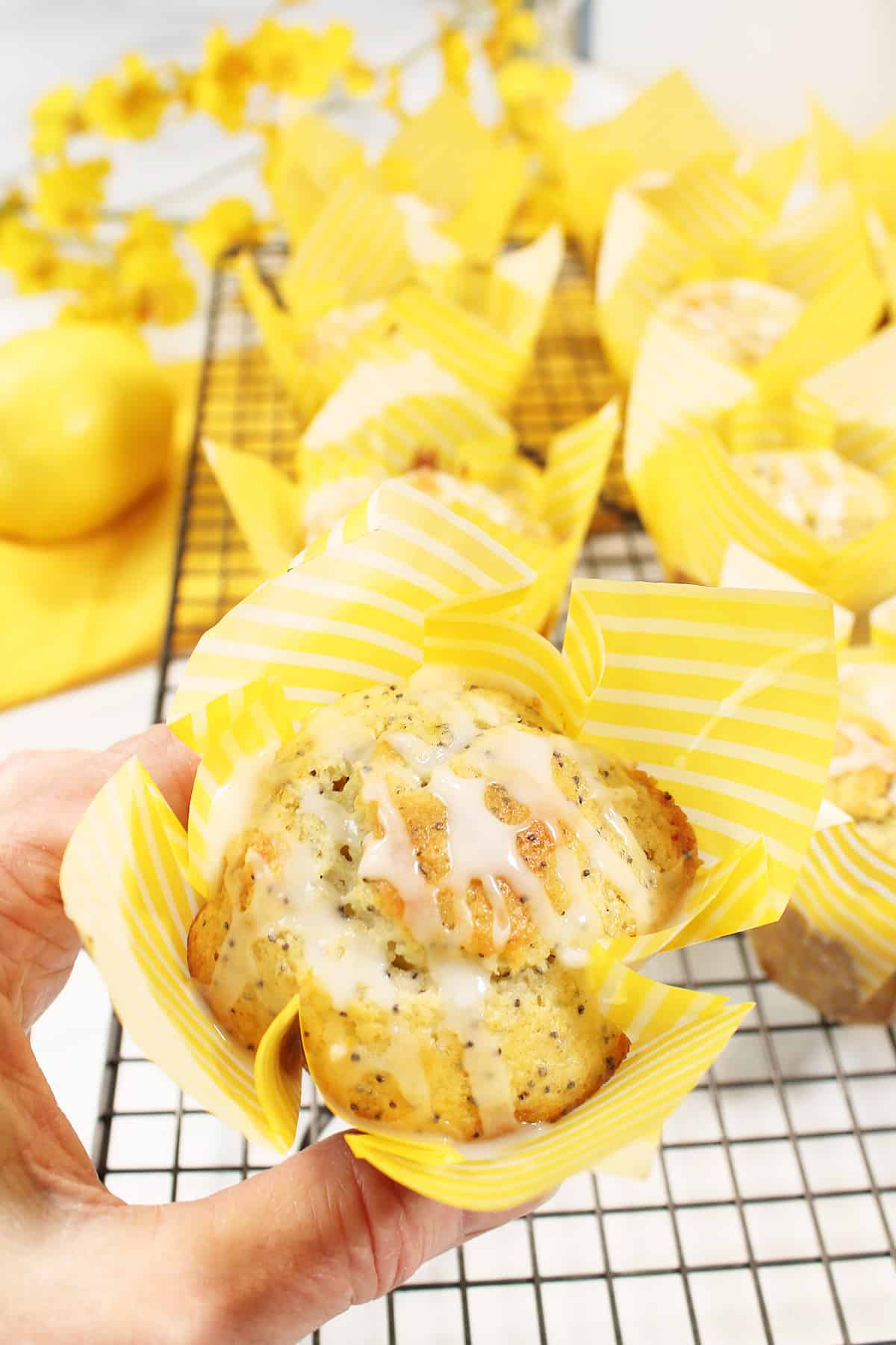 Closeup holding lemon muffin with lemon poppy seed muffins in back.