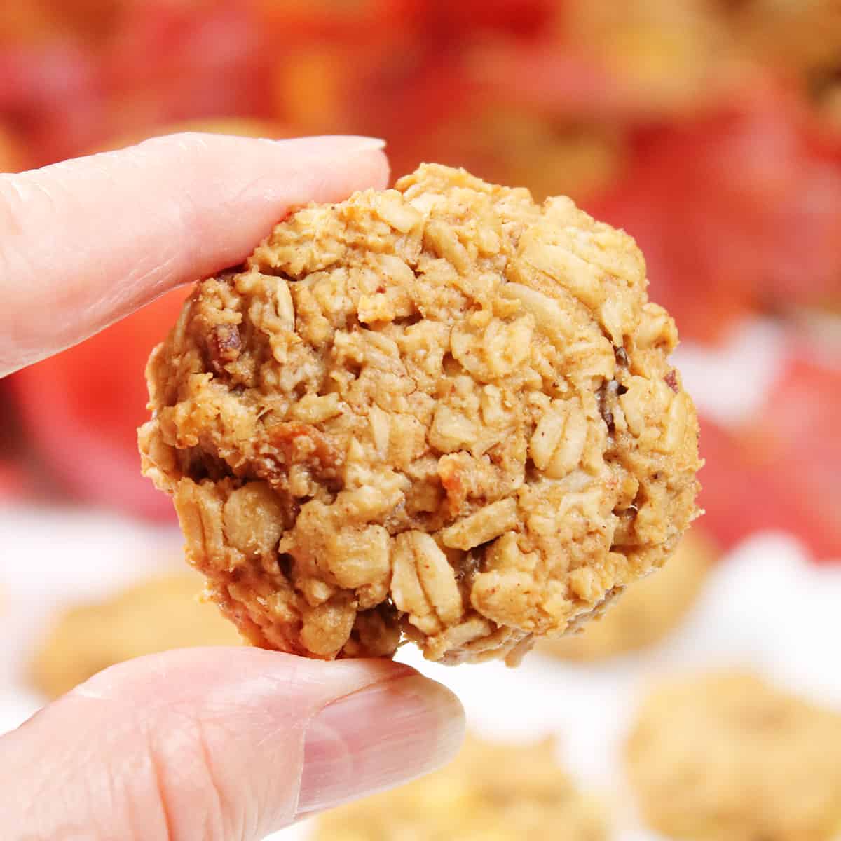 Holding applesauce oatmeal cookie.