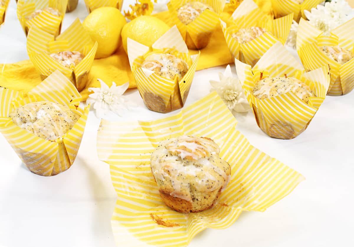Lemon Muffins with poppy seeds one without wrapper.