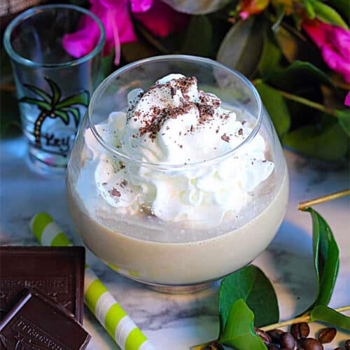 Patron Hummer Cocktail square - The Adult Milkshake | 2 Cookin Mamas