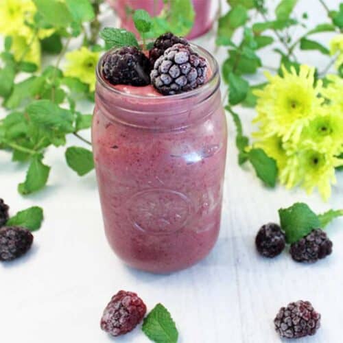 Chocolate Blackberry Mojito Smoothie square | 2 Cookin Mamas