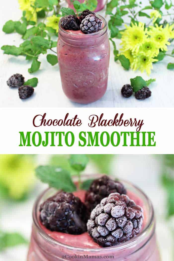 This Chocolate Blackberry Mojito Smoothie is a deliciously, chocolaty beverage with a hint of mint, that packs a healthy punch. Loaded with protein, greens, blackberries, chia seeds and yogurt, it's the perfect breakfast, lunch or snack that will help you stay healthy and keep you energized. #smoothie #healthy #breakfast #blackberries #chia seeds #yogurt #mint