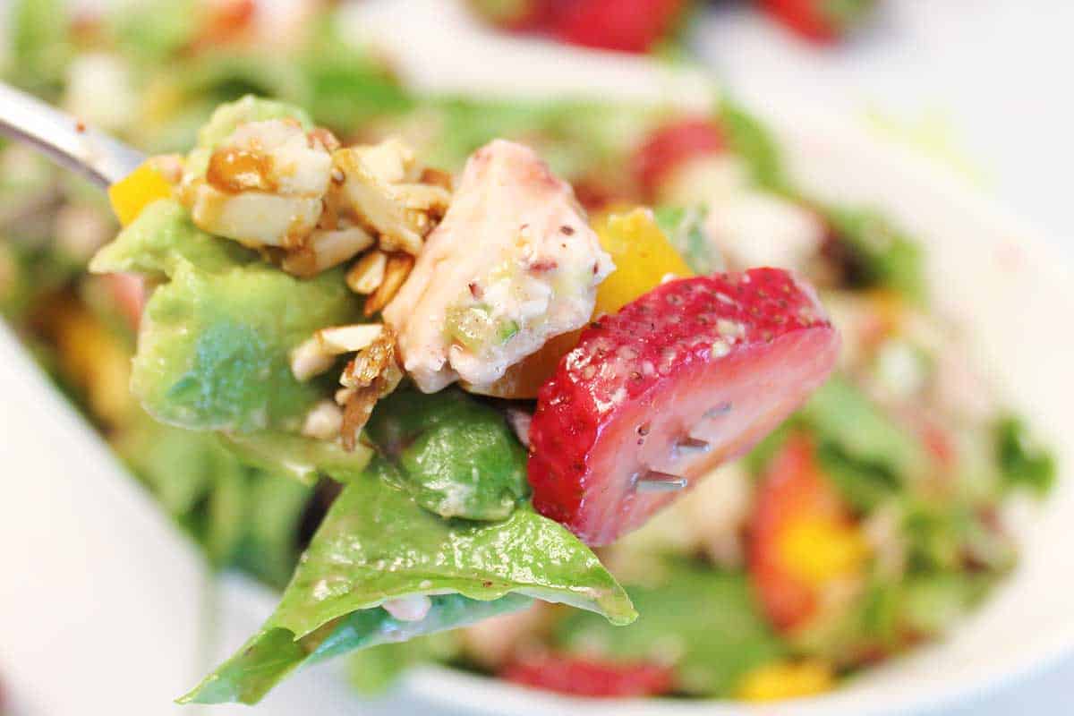 Closeup of forkful of chicken strawberry salad.