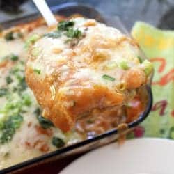 Creamy beef enchiladas serving lifting out of casserole.