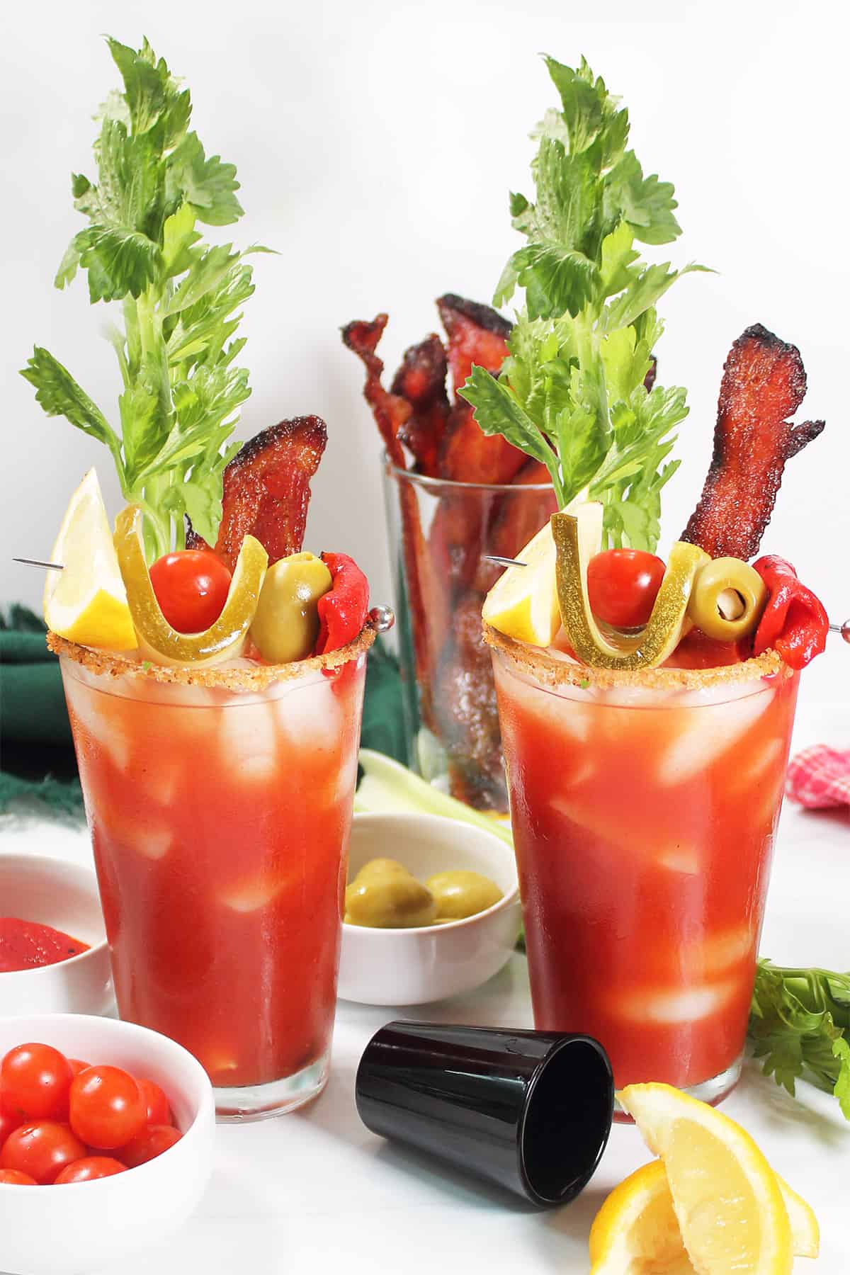 Two Bloody Maria cocktails ready to serve.