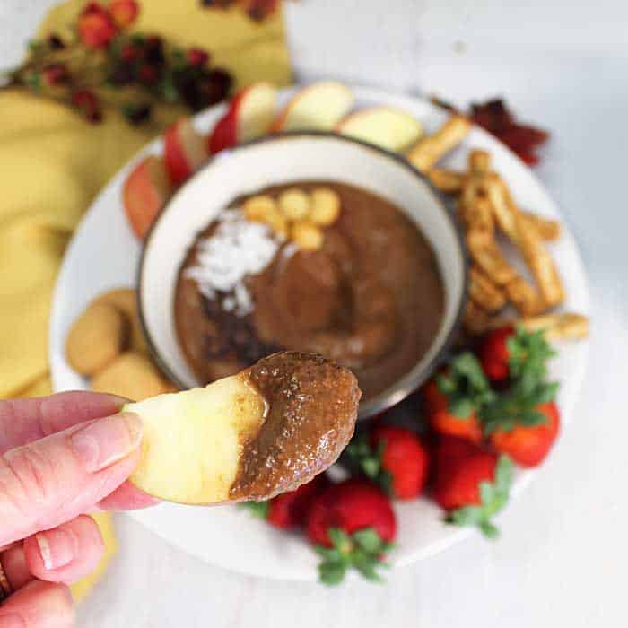 Healthy Chocolate Yogurt Hummus bite