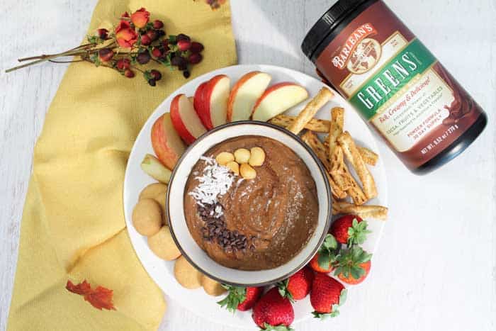 Healthy Chocolate Yogurt Hummus overhead with Barleans