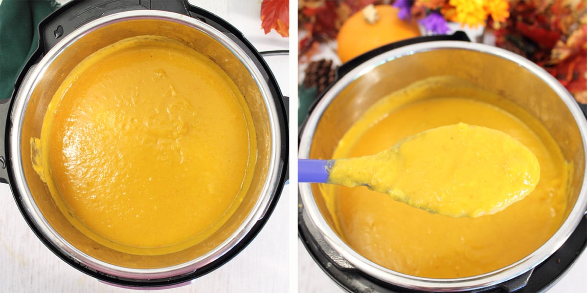 Showing soup pureed and closeup of a thick spoonful.