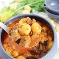 Ladleful of stew showing potatoes and meat in tomato-y sauce.
