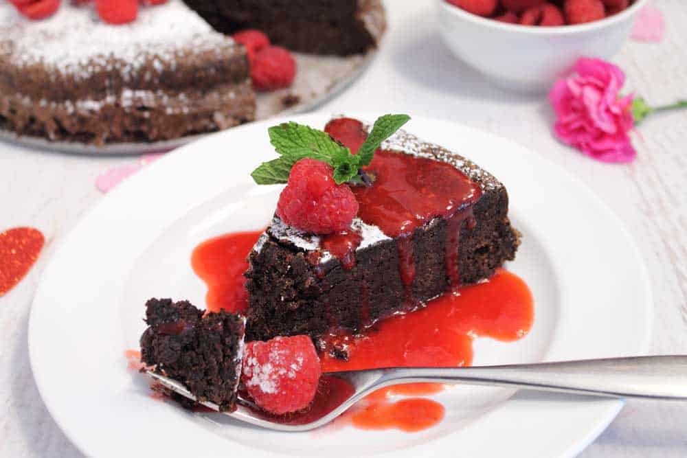 Flourless Chocolate Torte with raspberry sauce and bite