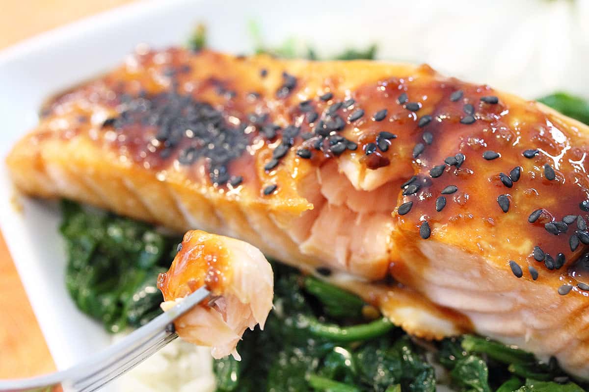 https://2cookinmamas.com/wp-content/uploads/2019/08/bite-of-salmon-1200.jpg