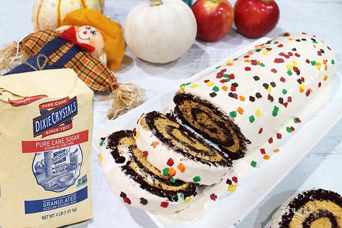 chocolate pumpkin swiss roll cake