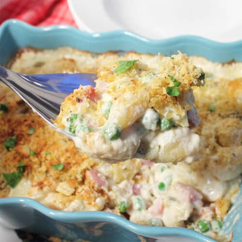 Spoonful of cheesy gnocchi casserole closeup
