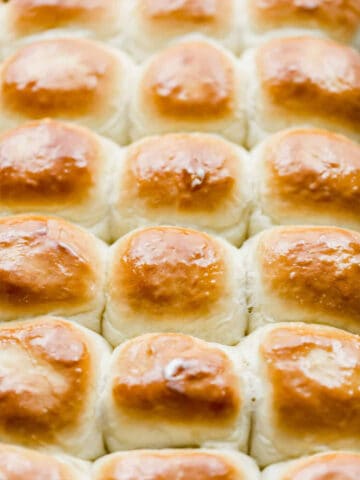 Dinner Rolls baked on sheet pan.