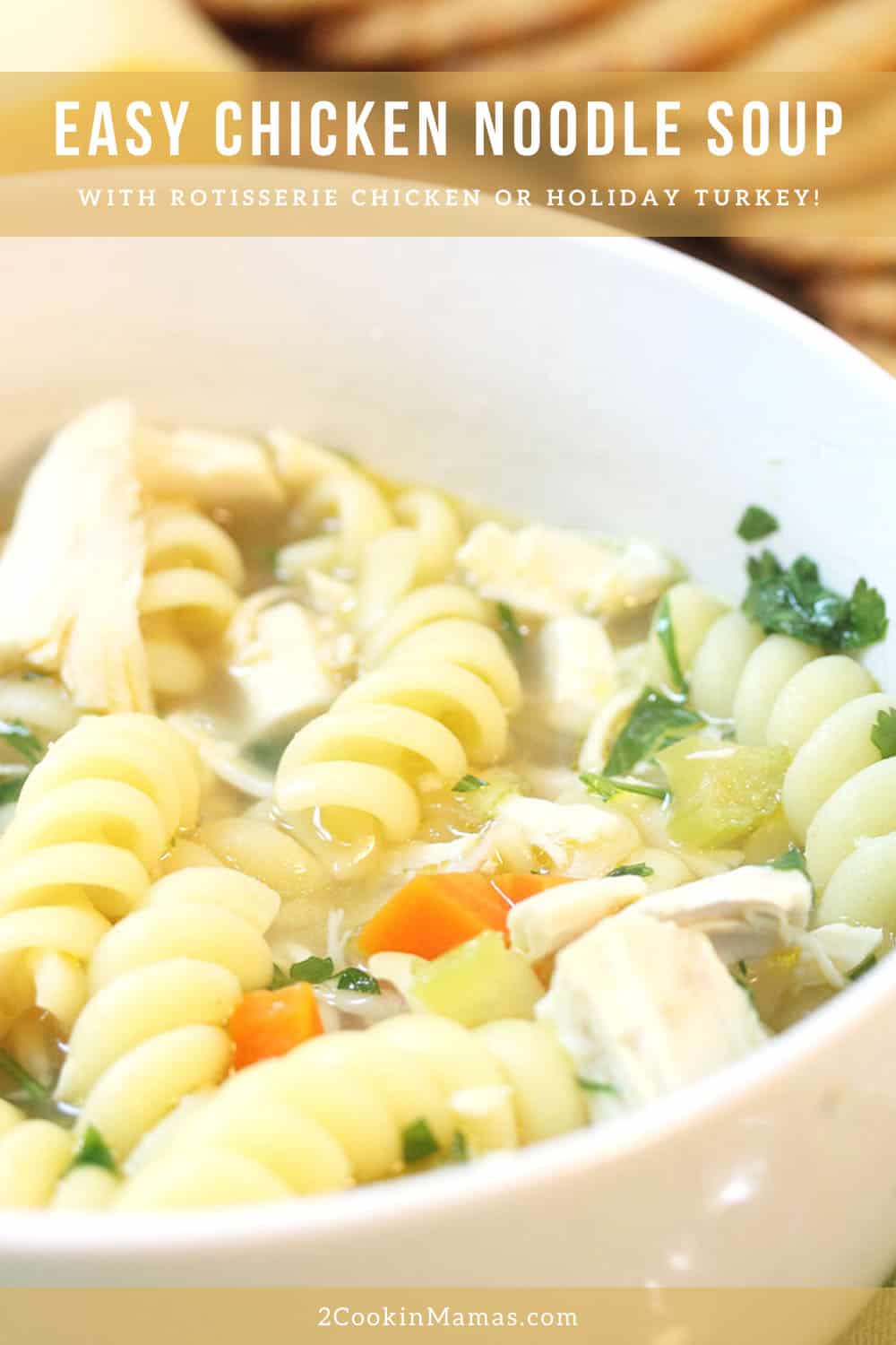 Easy 30 Minute Chicken Noodle Soup - 2 Cookin Mamas