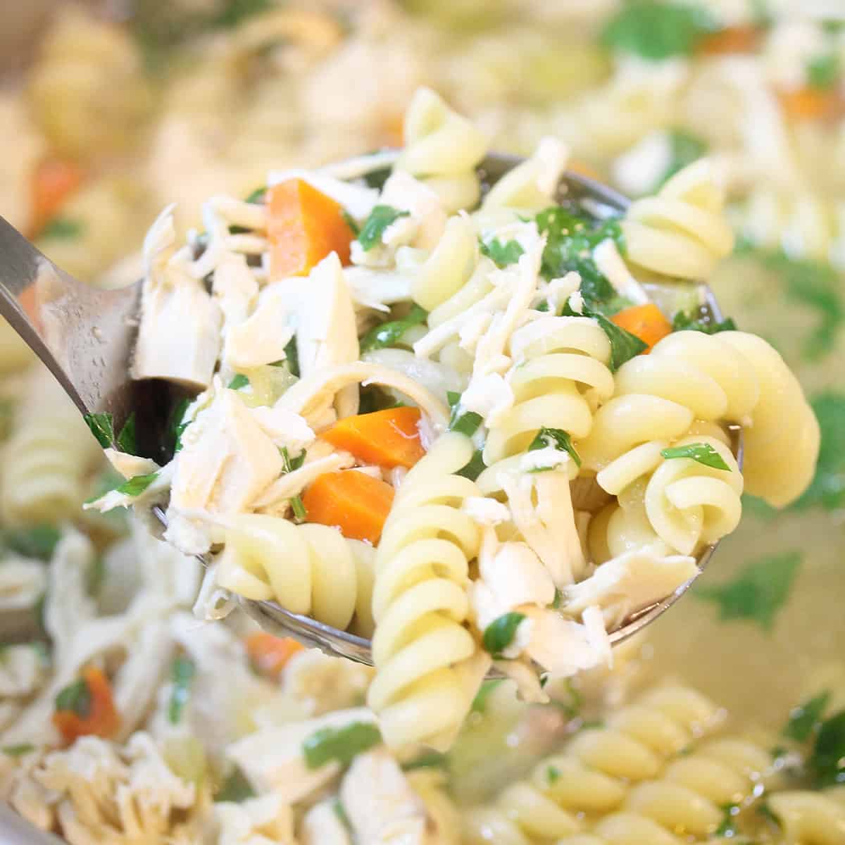 Easy 30 Minute Chicken Noodle Soup - 2 Cookin Mamas