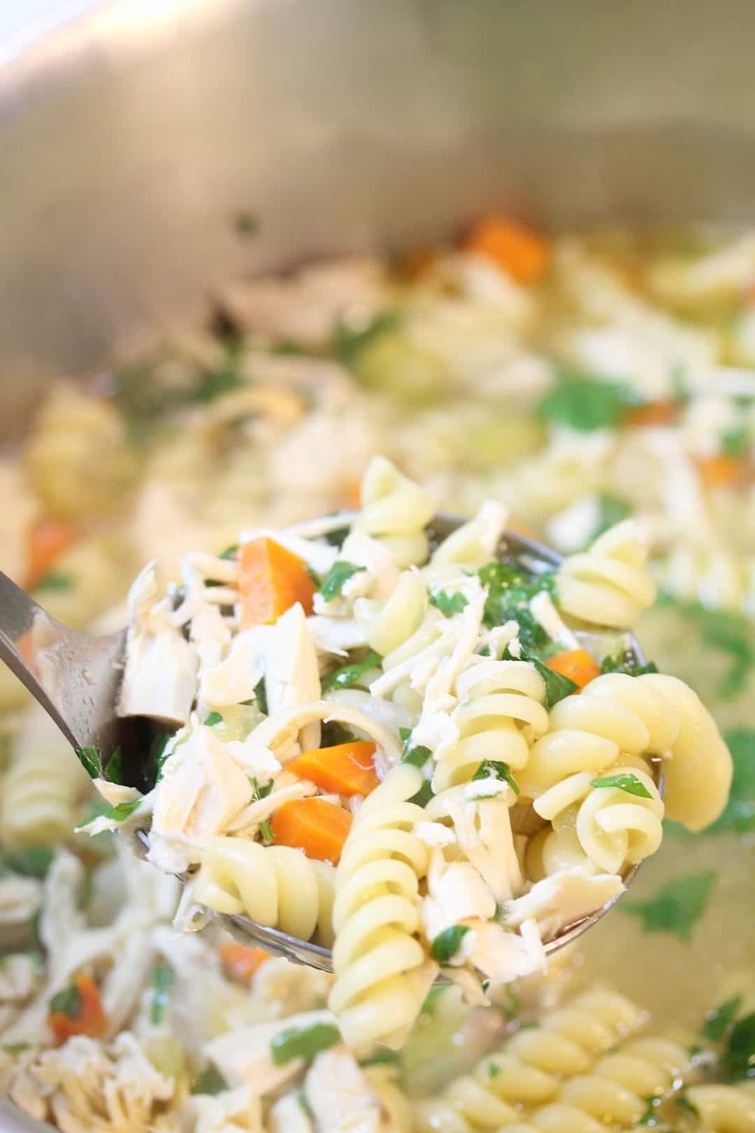 Easy 30 Minute Chicken Noodle Soup - 2 Cookin Mamas