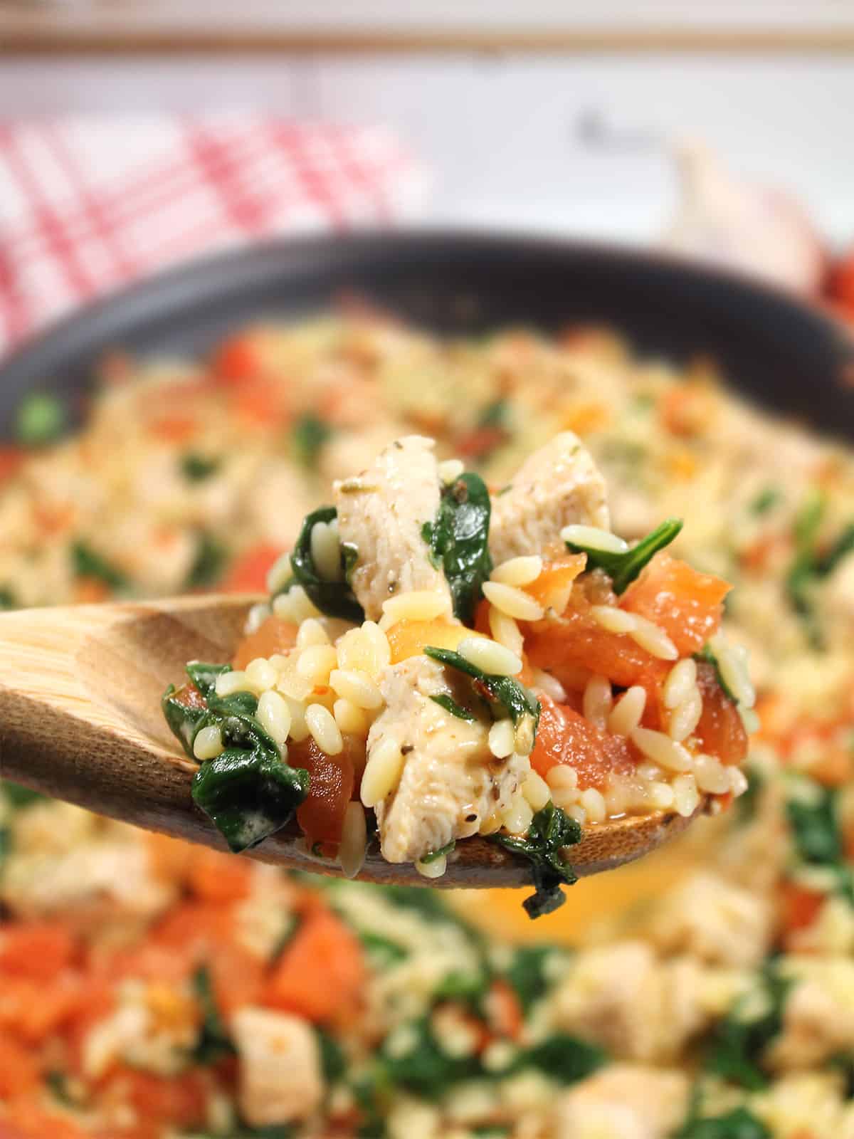 Spoonful of chicken and orzo over skillet.